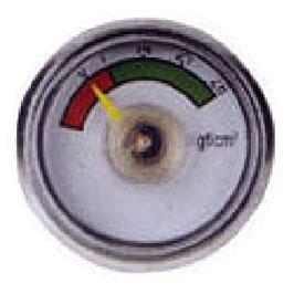 Pressure gauge G02A15